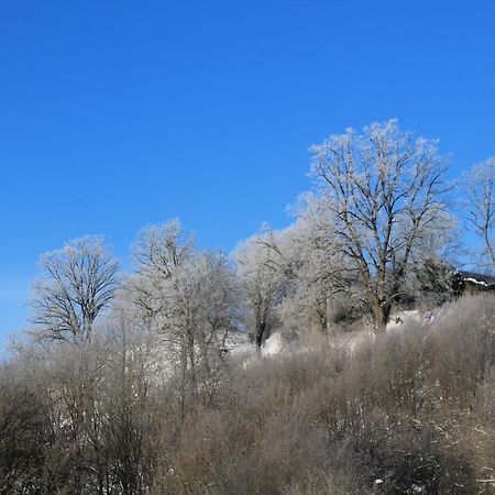 Belvedere Appart & Chalet - Ihr Zuhause Auf Zeit Am Edersee - Ihr Geschenk Die Gaestecard Grimmheimat Waldeck  Bagian luar foto