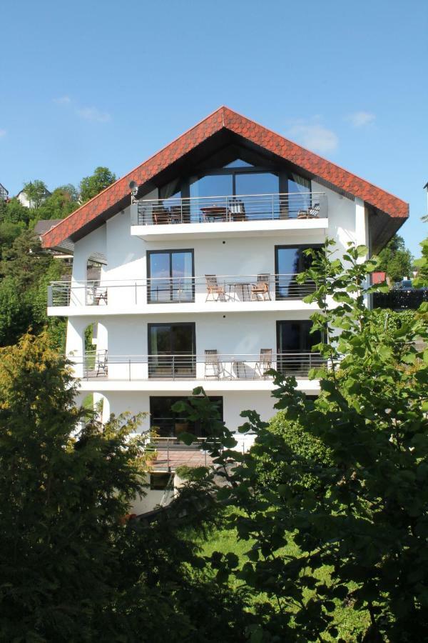 Belvedere Appart & Chalet - Ihr Zuhause Auf Zeit Am Edersee - Ihr Geschenk Die Gaestecard Grimmheimat Waldeck  Bagian luar foto